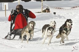 kanderstegfrundso0347_20111118_1657051168