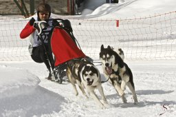 kanderstegfrundso0348_20111118_1400848001