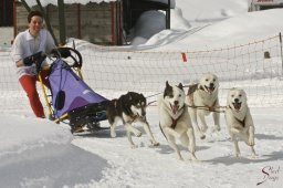 kanderstegfrundso0352_20111118_1301365106