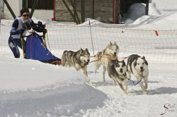 kanderstegfrundso0362_20111118_1408874612