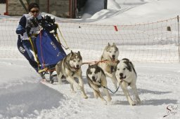 kanderstegfrundso0363_20111118_1902282149