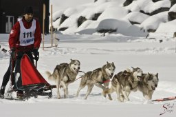 kanderstegfrundso0367_20111118_1041058409