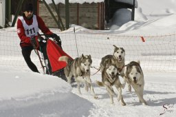 kanderstegfrundso0368_20111118_1361316397