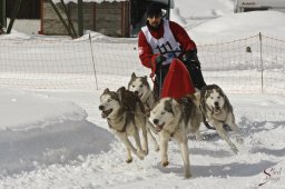 kanderstegfrundso0369_20111118_1381014470