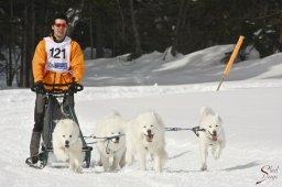 kanderstegfrundso0397_20111118_1228951984