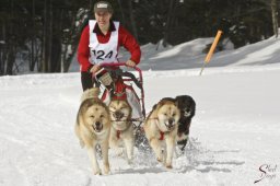 kanderstegfrundso0417_20111118_1073570185