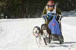 kanderstegfrundso0422_20111118_1066516442