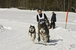 kanderstegfrundso0481_20111118_1687245160