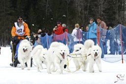 kanderstegfrundso0495_20111118_1796047500