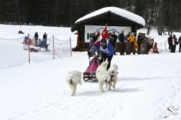 kanderstegfrundso0503_20111118_1307613933