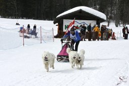 kanderstegfrundso0504_20111118_1505582019