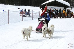 kanderstegfrundso0506_20111118_1625860425