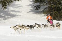 Lenzerheide 2009