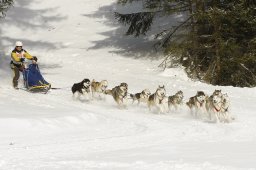 Lenzerheide 2009