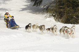 Lenzerheide 2009