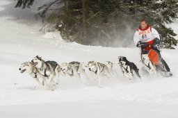 Lenzerheide 2009