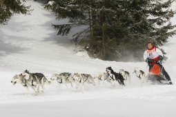 Lenzerheide 2009