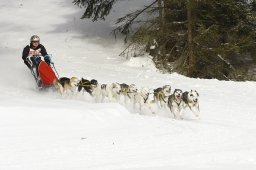 Lenzerheide 2009