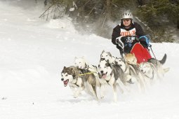 Lenzerheide 2009