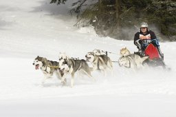 Lenzerheide 2009