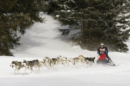 Lenzerheide 2009