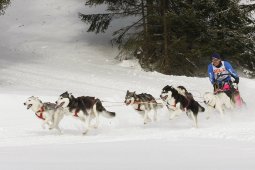 Lenzerheide 2009