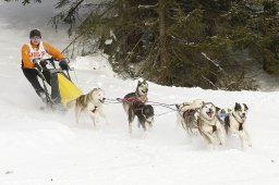 Lenzerheide 2009