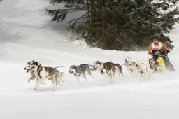 Lenzerheide 2009