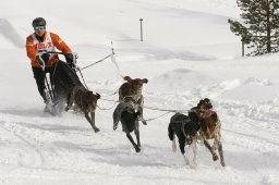 Lenzerheide 2009