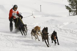 Lenzerheide 2009