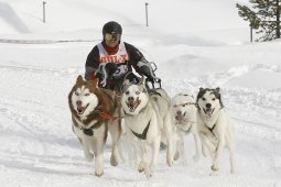 Lenzerheide 2009