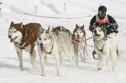 Lenzerheide 2009