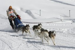 Lenzerheide 2009