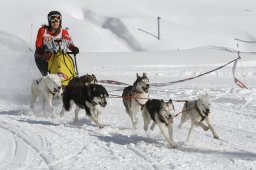 Lenzerheide 2009