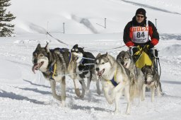 Lenzerheide 2009