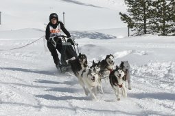 Lenzerheide 2009