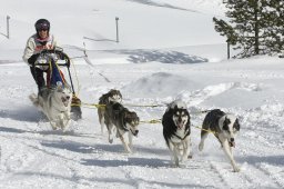 Lenzerheide 2009