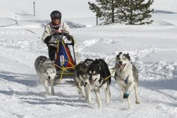 Lenzerheide 2009