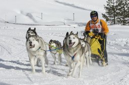 Lenzerheide 2009