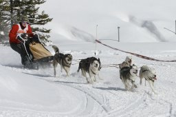 Lenzerheide 2009