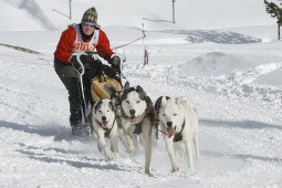 Lenzerheide 2009