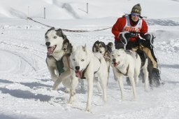 Lenzerheide 2009