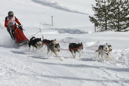 Lenzerheide 2009