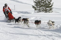 Lenzerheide 2009