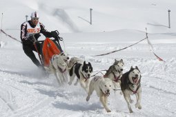 Lenzerheide 2009