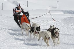 Lenzerheide 2009