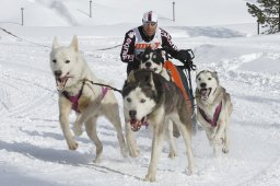 Lenzerheide 2009