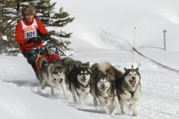 Lenzerheide 2009