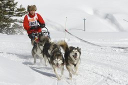 Lenzerheide 2009