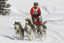 Lenzerheide 2009